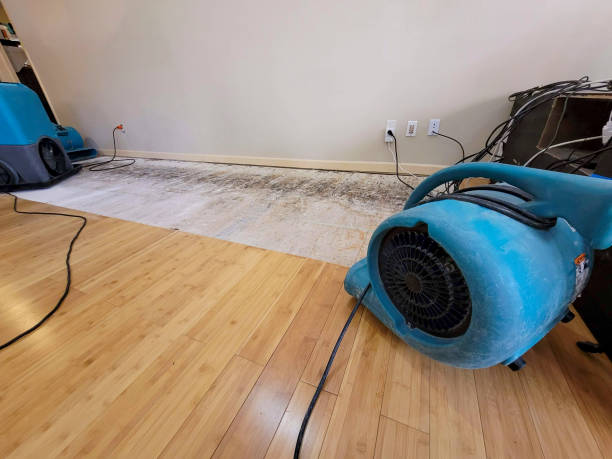 Professional Water Extraction technician working in San Luis, CO